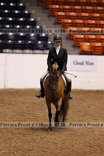 Proof 11buck_0736