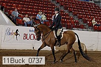11buck_0737 proof