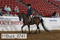 11buck_0741 proof