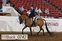 11buck_0742 proof