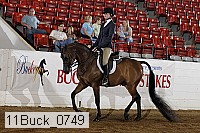 11buck_0749 proof