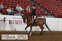 11buck_0752 proof