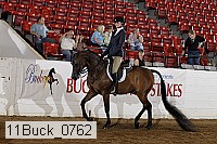 11buck_0762 proof