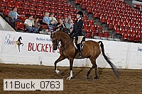 11buck_0763 proof