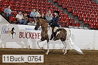 11buck_0764 proof