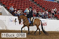 11buck_0768 proof