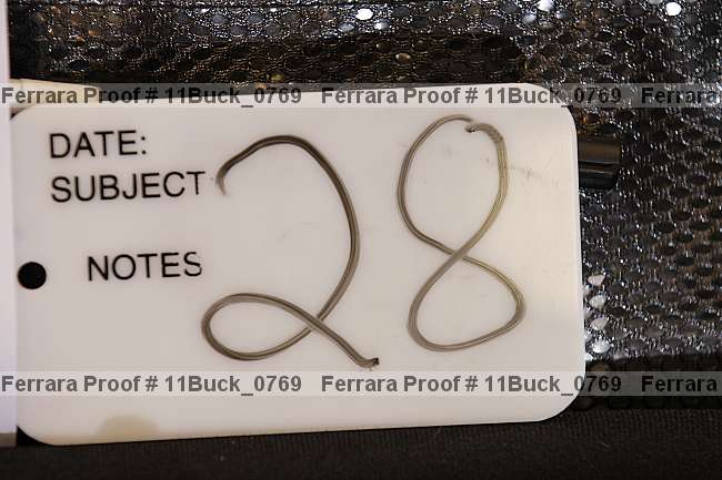 Proof 11buck_0769