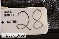 11buck_0769 proof