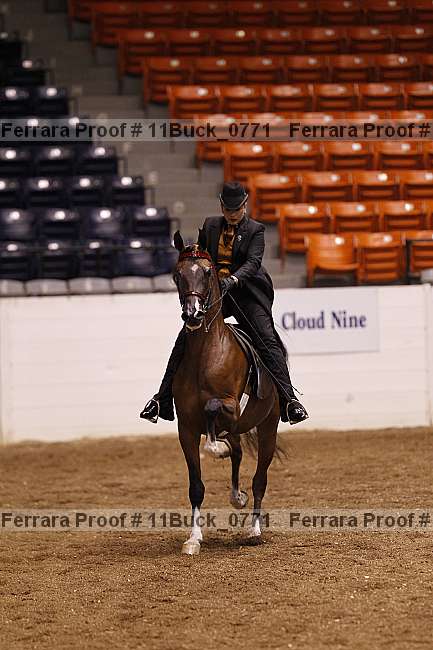 Proof 11buck_0771