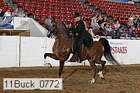 11buck_0772 proof