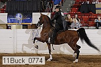 11buck_0774 proof