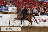 11buck_0779 proof