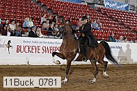 11buck_0781 proof