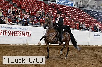 11buck_0783 proof