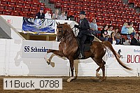11buck_0788 proof