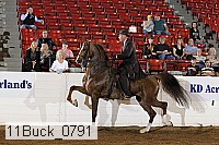 11buck_0791 proof