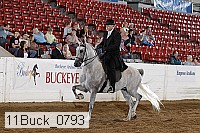 11buck_0793 proof