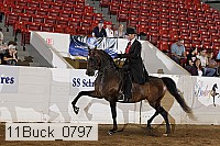 11buck_0797 proof