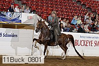 11buck_0801 proof
