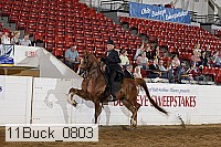 11buck_0803 proof