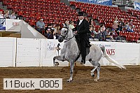 11buck_0805 proof