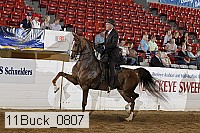 11buck_0807 proof
