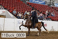 11buck_0809 proof