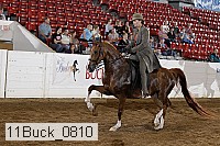 11buck_0810 proof