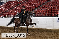 11buck_0815 proof