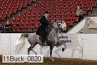 11buck_0820 proof
