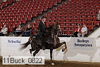 11buck_0822 proof
