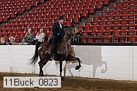 11buck_0823 proof