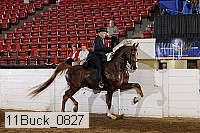 11buck_0827 proof