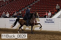 11buck_0829 proof