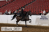 11buck_0831 proof
