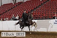 11buck_0833 proof