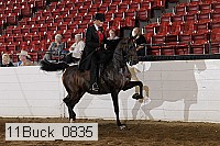 11buck_0835 proof