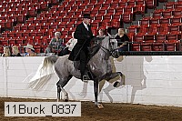 11buck_0837 proof
