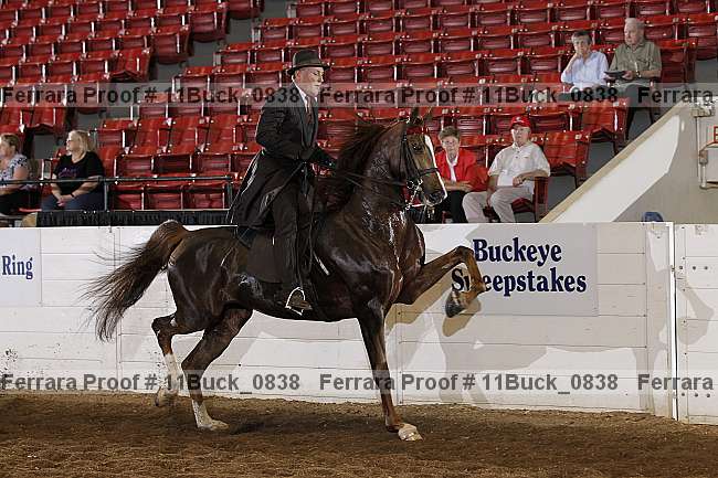 Proof 11buck_0838