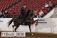11buck_0838 proof