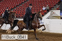 11buck_0841 proof
