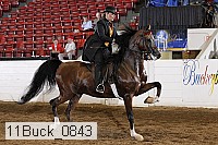 11buck_0843 proof