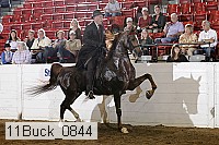 11buck_0844 proof