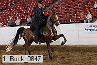 11buck_0847 proof