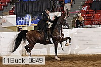 11buck_0849 proof