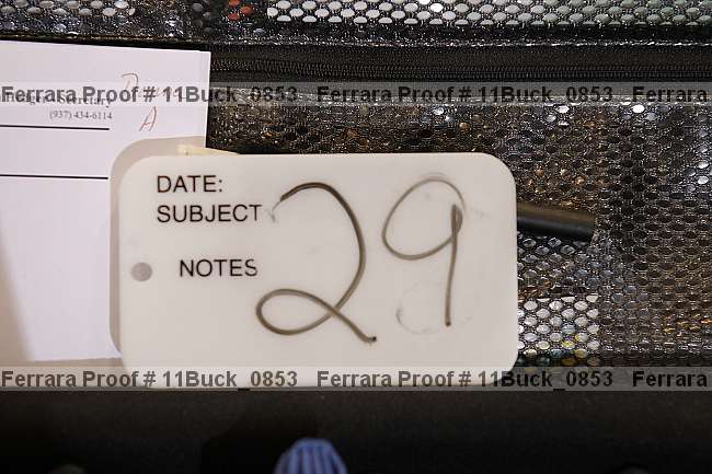 Proof 11buck_0853