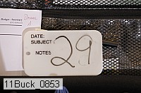 11buck_0853 proof