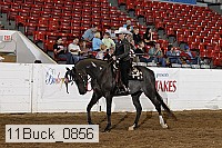 11buck_0856 proof