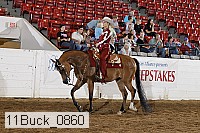 11buck_0860 proof