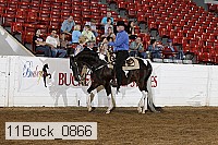 11buck_0866 proof